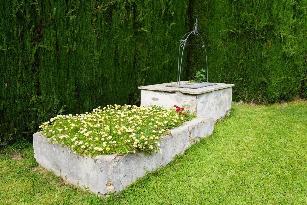 Casina Mozart Lecce Bed & Breakfast Magliano Exterior photo