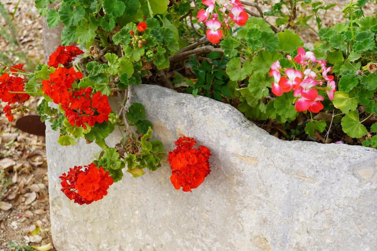 Casina Mozart Lecce Bed & Breakfast Magliano Exterior photo